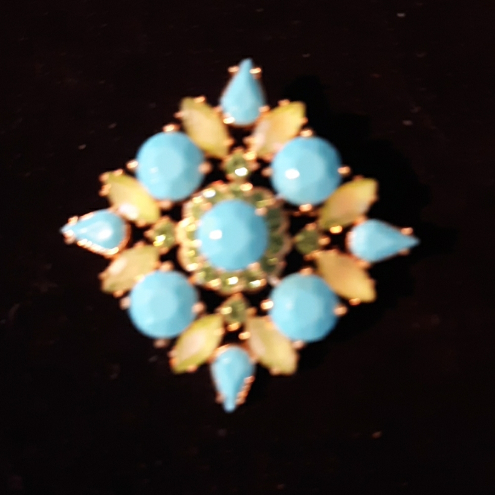 Joan rivers brooch